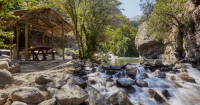 Descubriendo el Santuario de Naturaleza Arrayán: Tu Escape Natural en Santiago