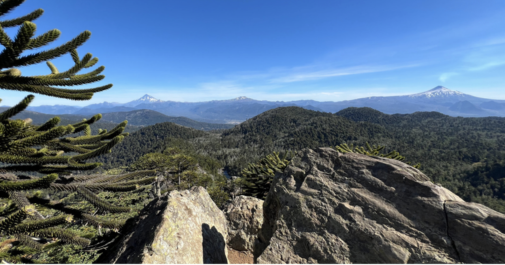 Descubriendo la Maravilla de los Ojos del Caburgua: Naturaleza, Gastronomía y Consejos Útiles