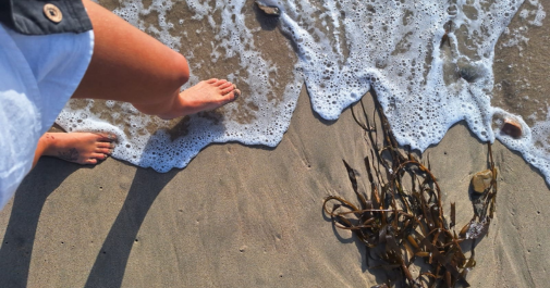 Grounding: Reconectando con la Naturaleza para Renovar el Espíritu