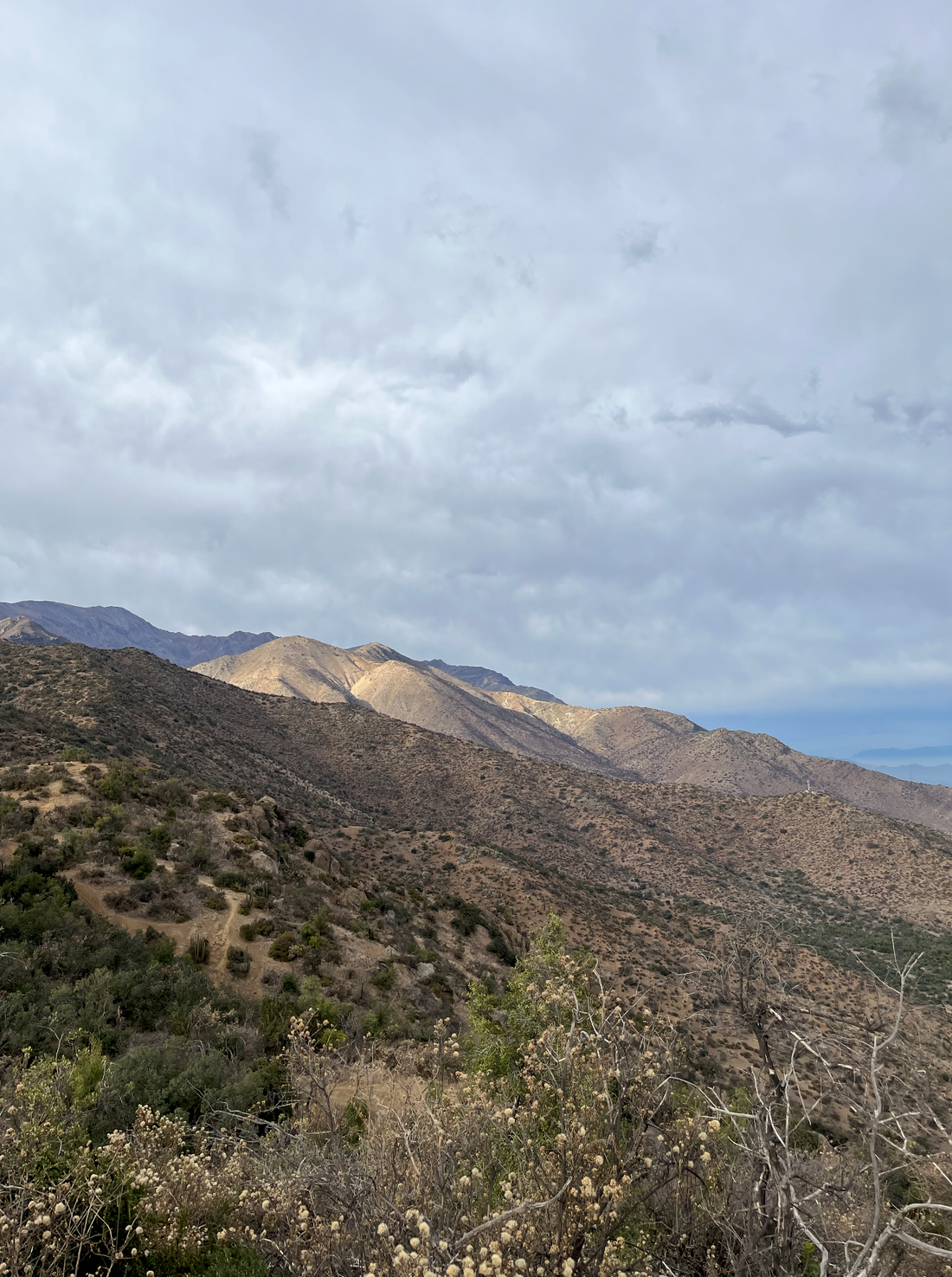 Trekking Cerro Las Varas: guía completa