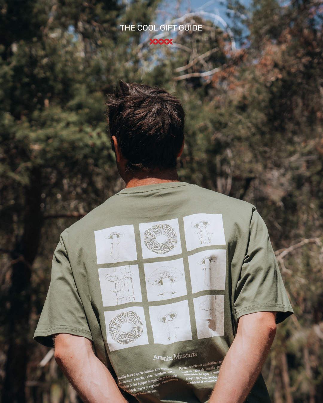 ✨ Lhotse Artist Colab: Colección Reino Fungi ✨