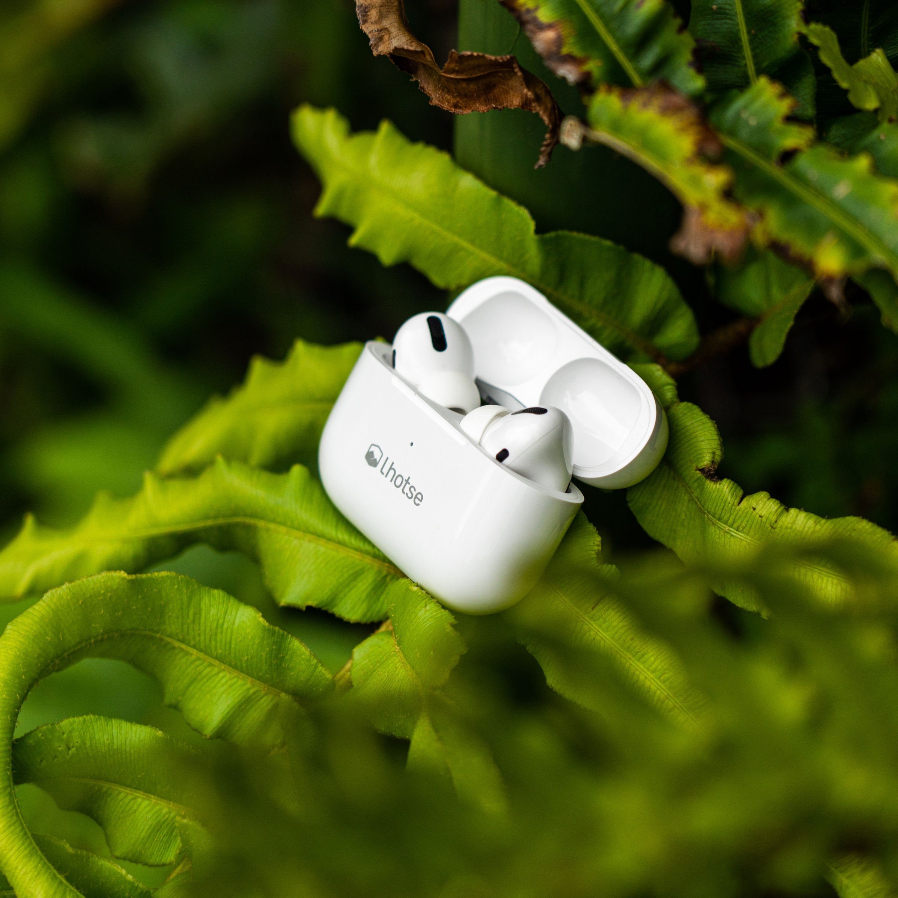 Audio