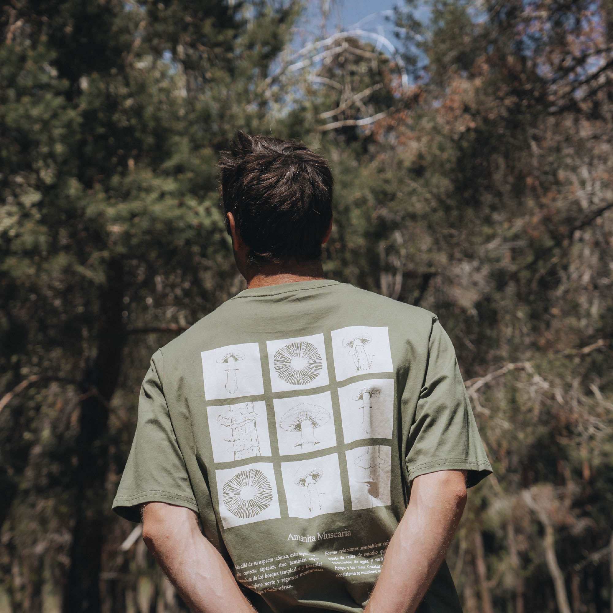 The Top: Polera Manga Corta Fungi + Audífonos Beatmaster