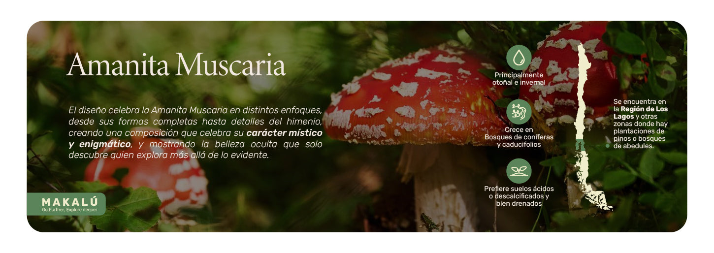 Polera Hombre Manga Corta Amanita Muscaria Lhotse