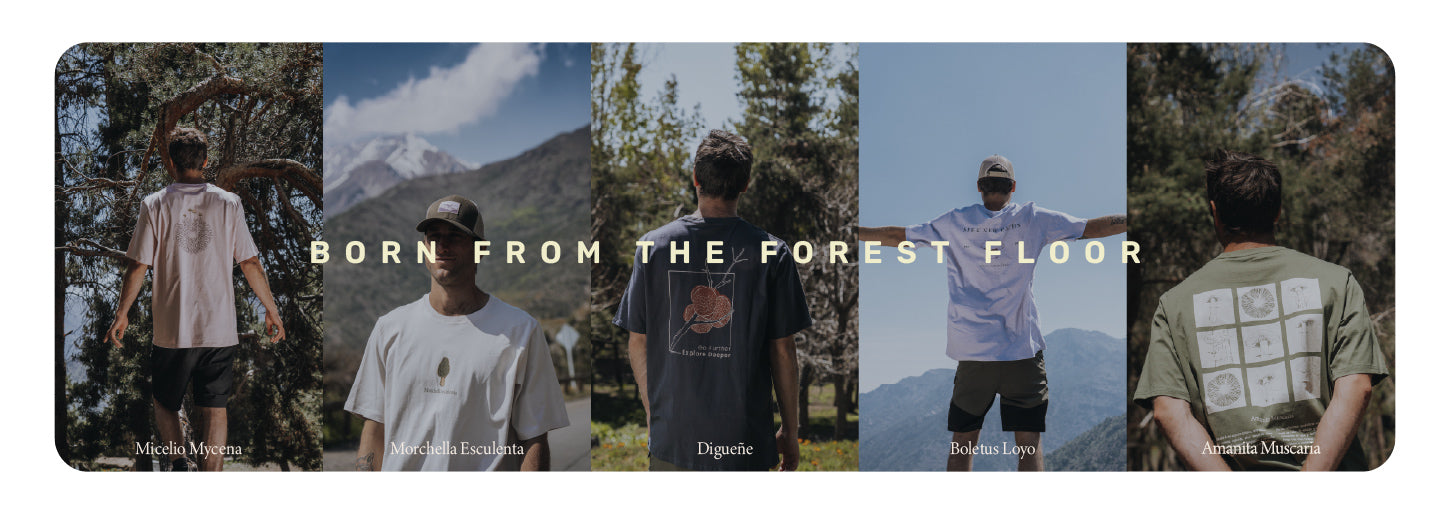 Polera Hombre Manga Corta Digueñe Lhotse