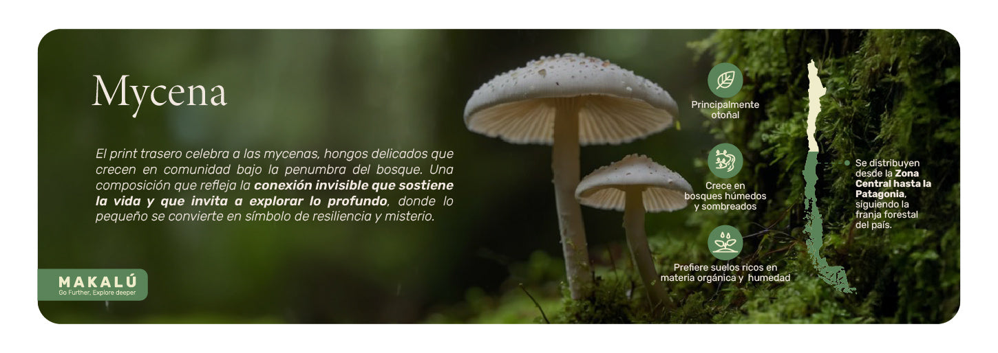 Polerón Unisex Sweatshirt Mycena Lhotse