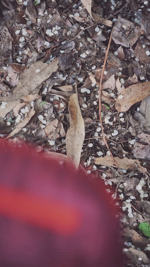 Reel Bananos Outdoor.mp4